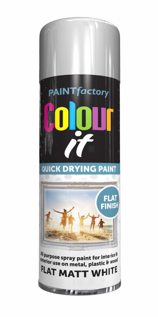 COLOUR IT - Peinture mate plate blanche 250ml