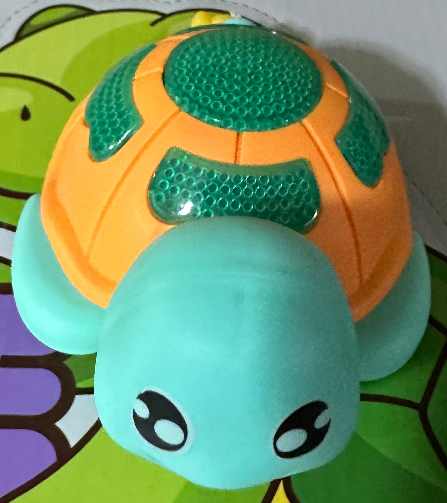 Tortue à ficelle