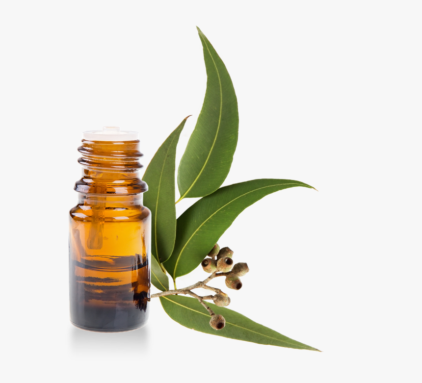 Huile essentielle eucalyptus 15ml