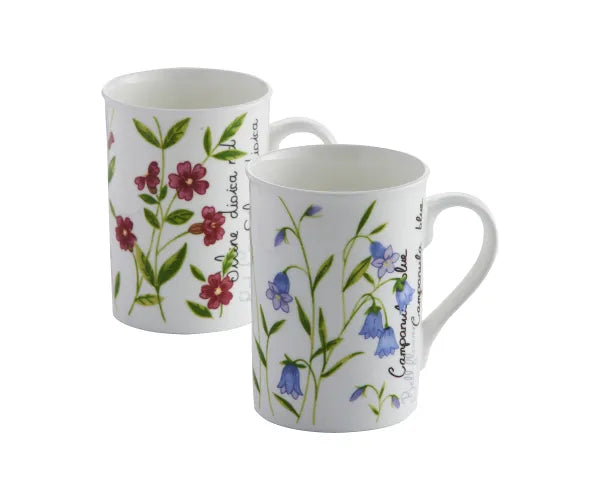 Sublimez votre rituel du thé avec nos Mugs en Porcelaine Fine Assortiment Botanique | Capacité 30cl.