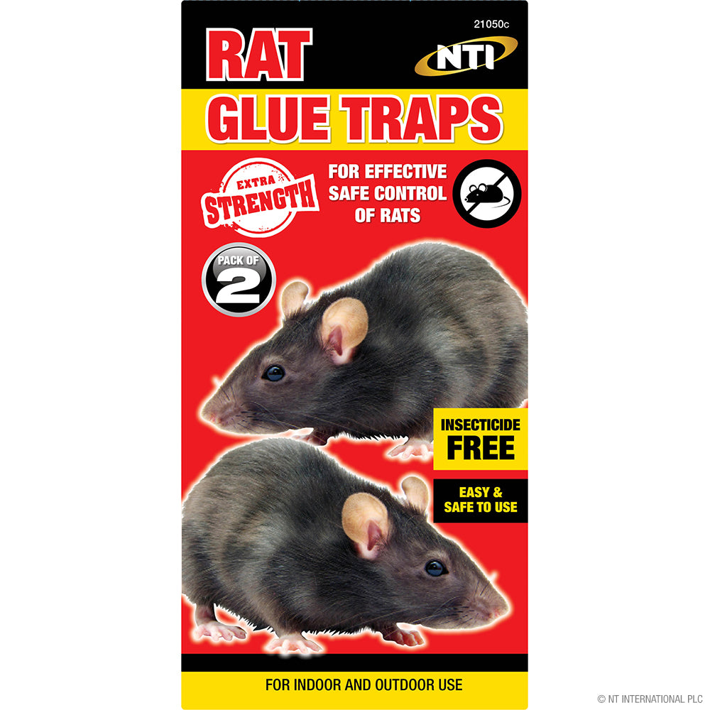 Pièges à Glu pour Rats 2p