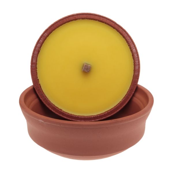 Améliorez votre ambiance extérieure avec notre grande jardinière en terre cuite à la citronnelle