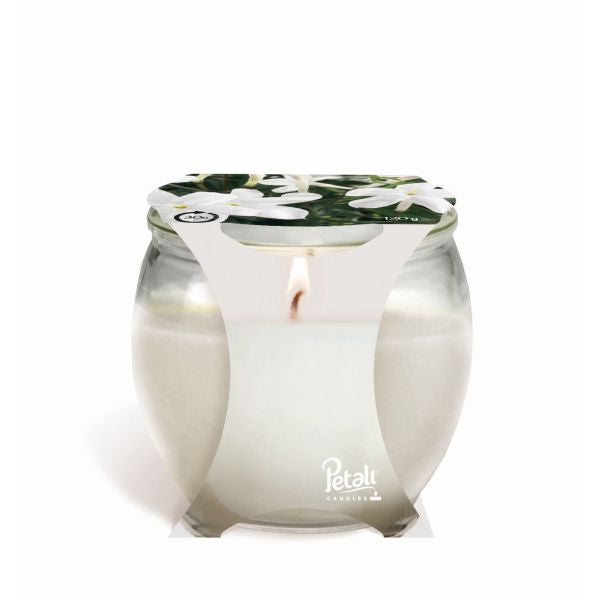 Embellissez votre espace avec le pot Petali Jasmine : un parfum exquis et une élégance intemporelle.