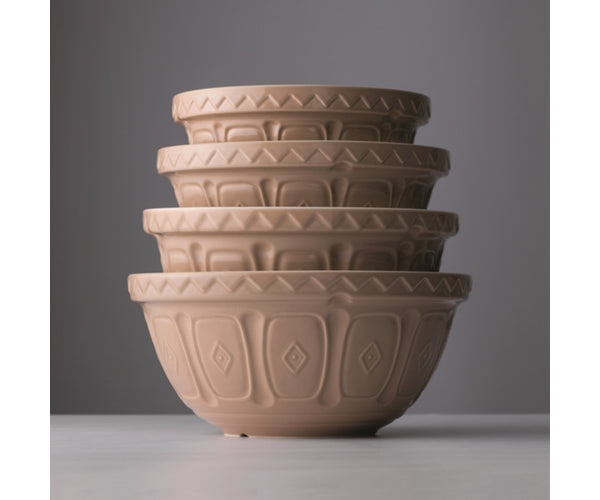 Bol mélangeur Canne S30 21 cm : Un essentiel de cuisine durable et élégant.