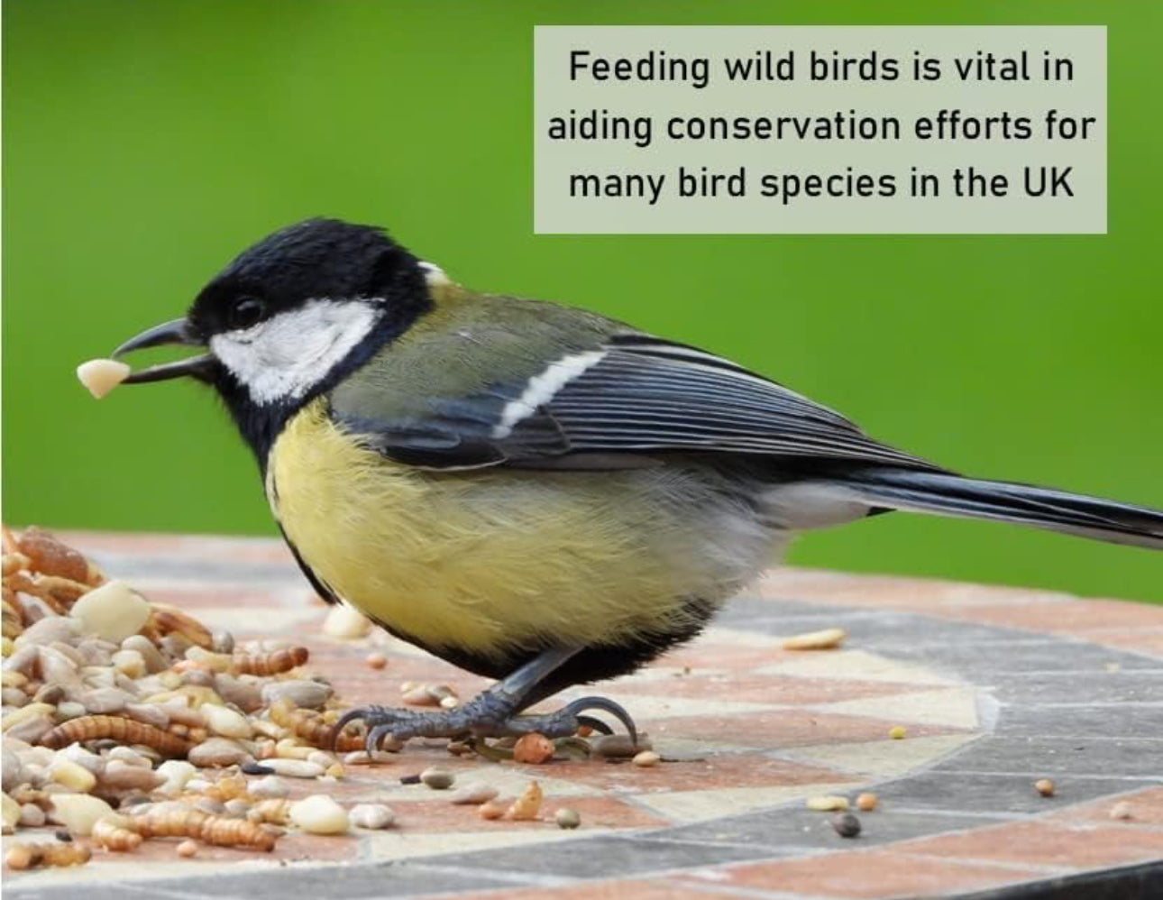 Wild Bird Seed Mix 1Kg