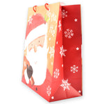 Sac Cadeau Moyen Visage Père Noël