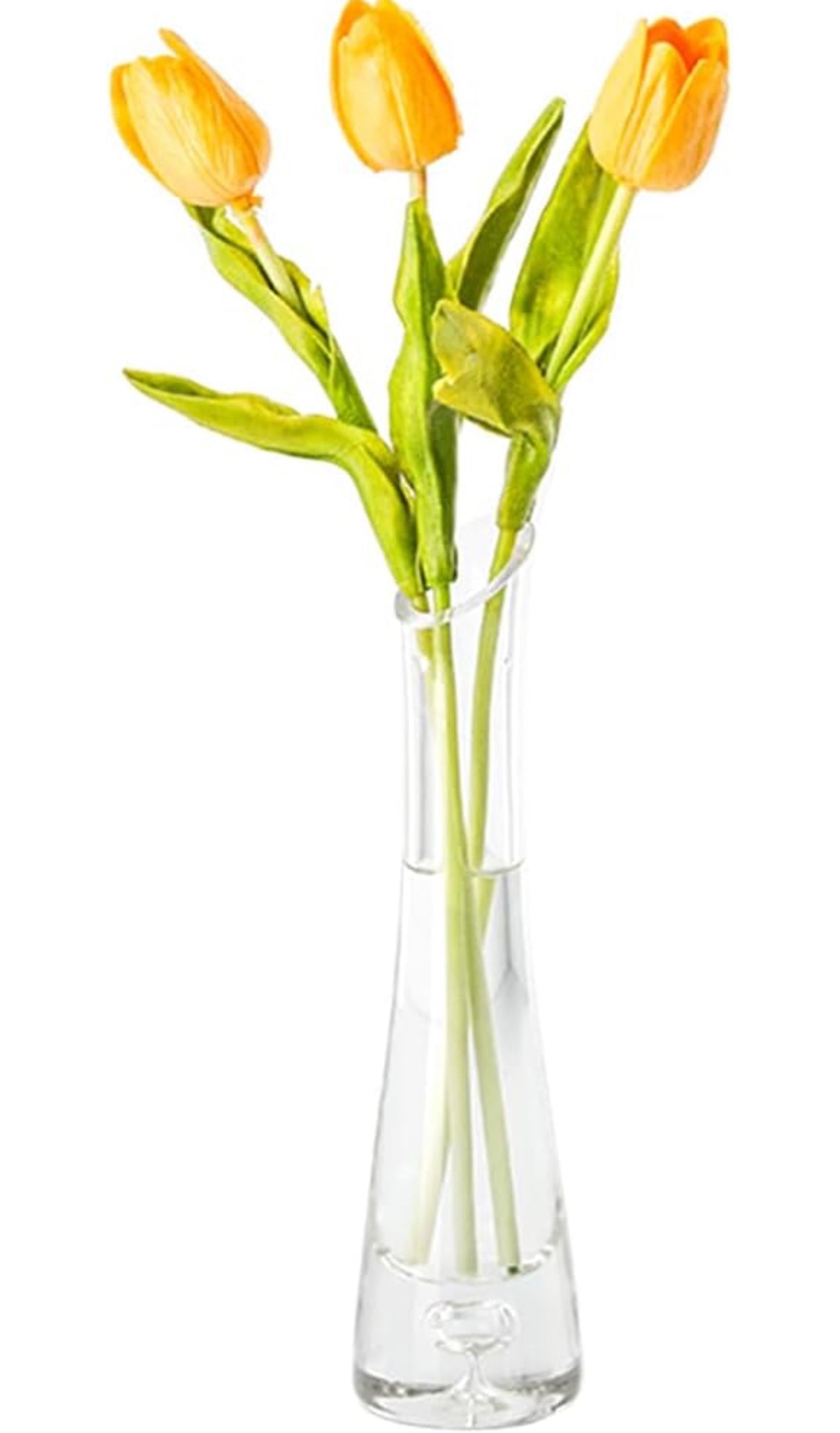 Clear Glass Flower Vase Single Stem Vases Decorative Bud Vase Glass Vase Bottles