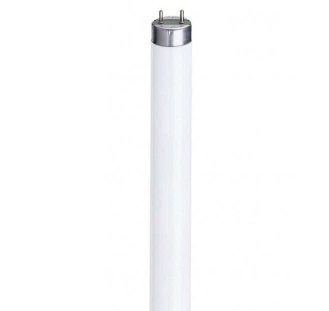 EVEREADY T8 FLUORESCENT TUBE DAYLIGHT 58W 5 FEET