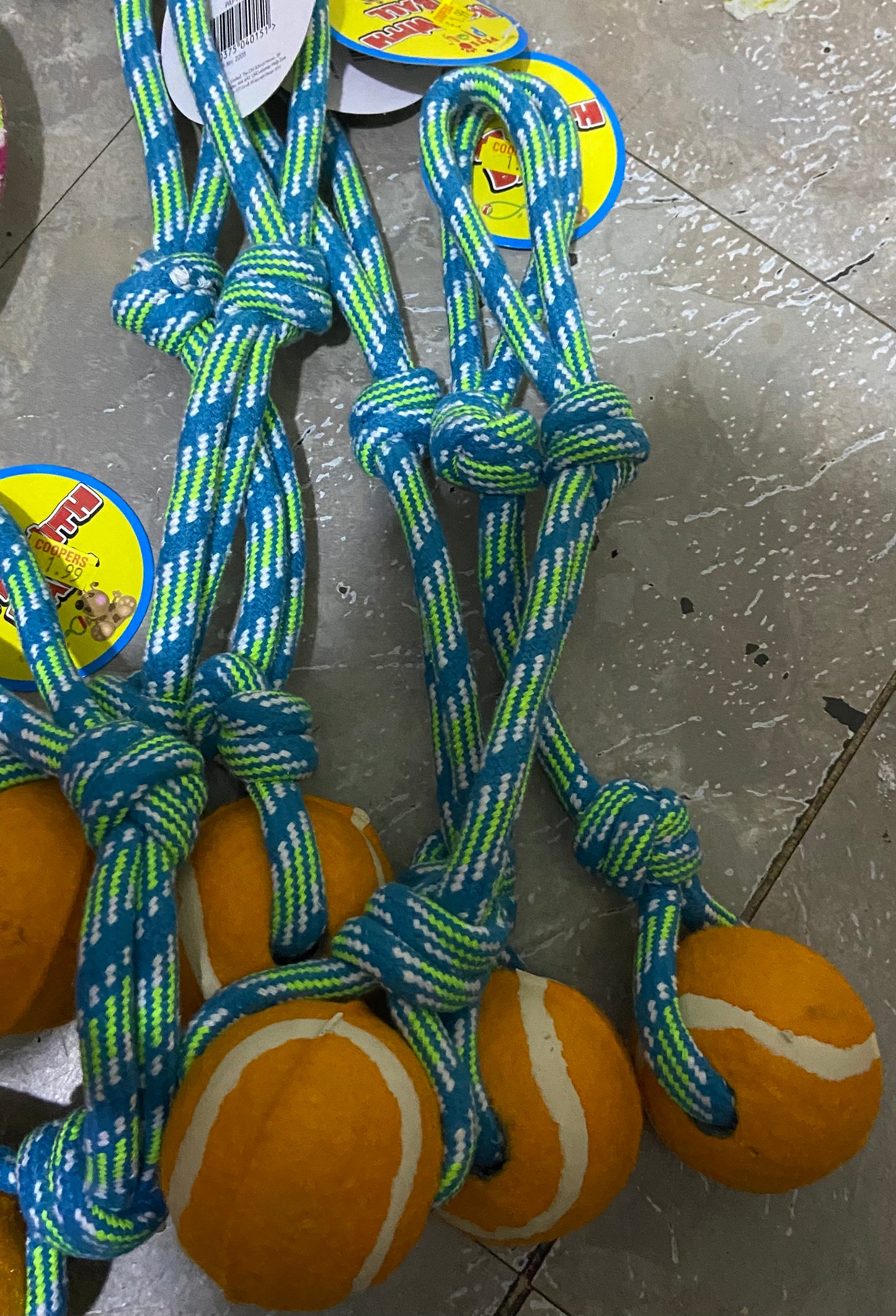 PETS PLAY ROPE WITH BALL