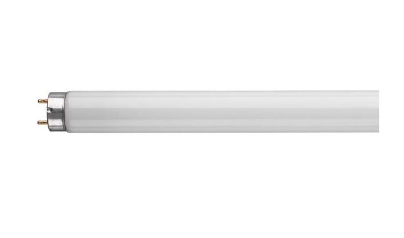 SPECTRA PLUS TRIPHOSPHOR 36W FLUORESCENT DAYLIGHT TUBE 4FEET