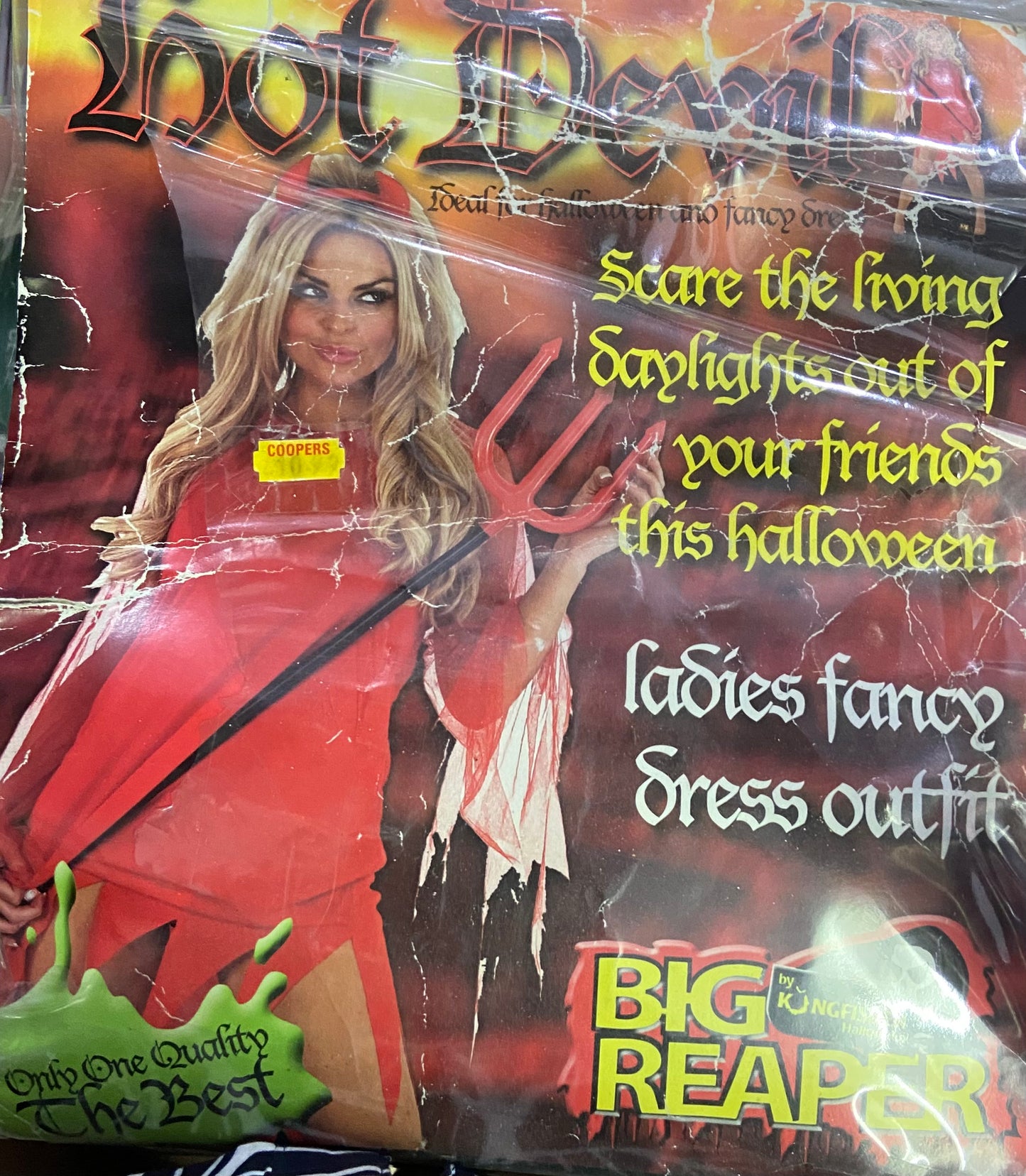 KINGFISHER HALLOWEEN DIABLESSE ENFLAMMÉE
