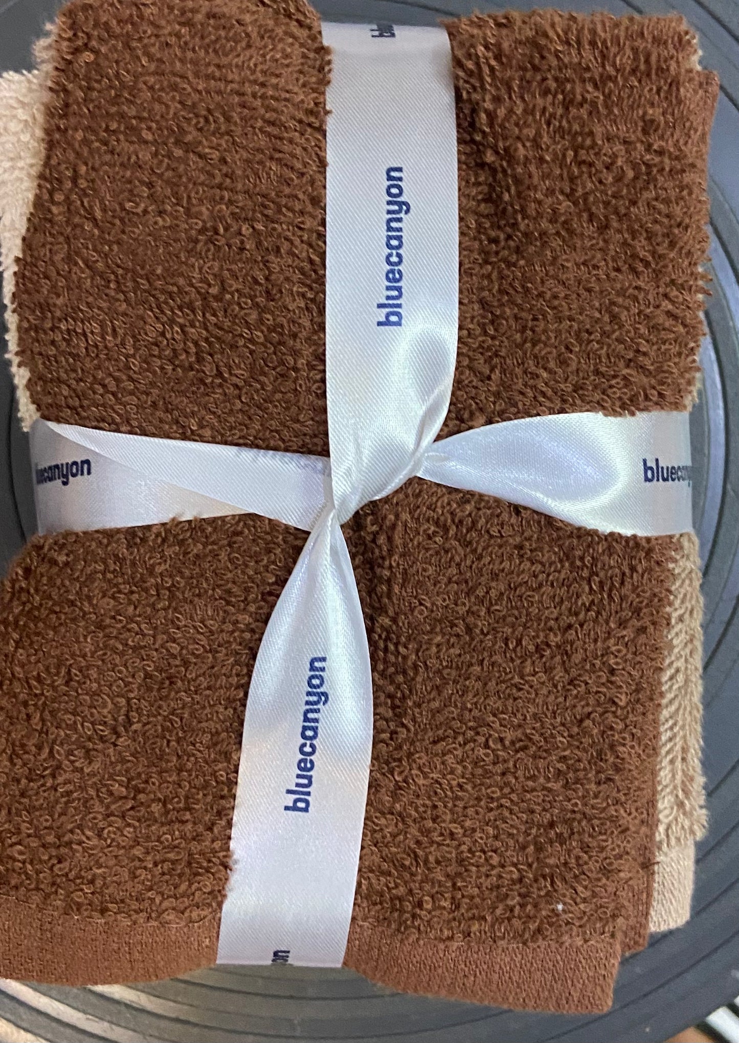 GANTS DE TOILETTE BLEUCANYON lot de 4 TERRE