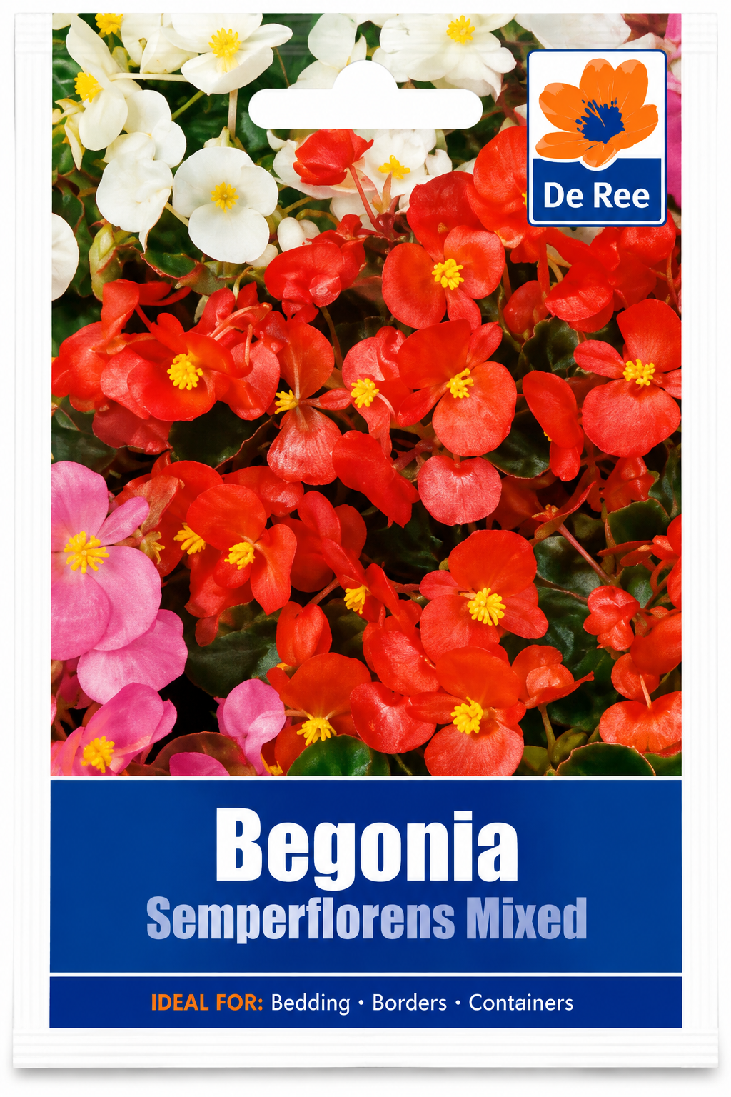 DE REE BEGONIA SEMPERFLORENS MIXED