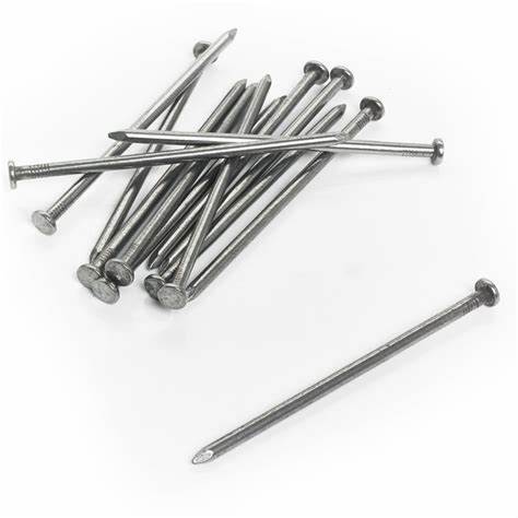 Round Wire Nails 25mm (1") 100g