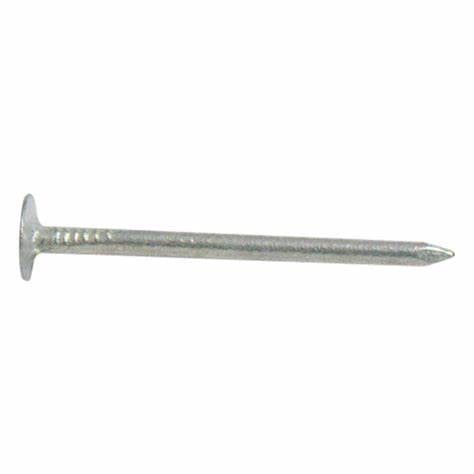 Clout Nails, Galvanised, Extra Large Head 25mm (1")