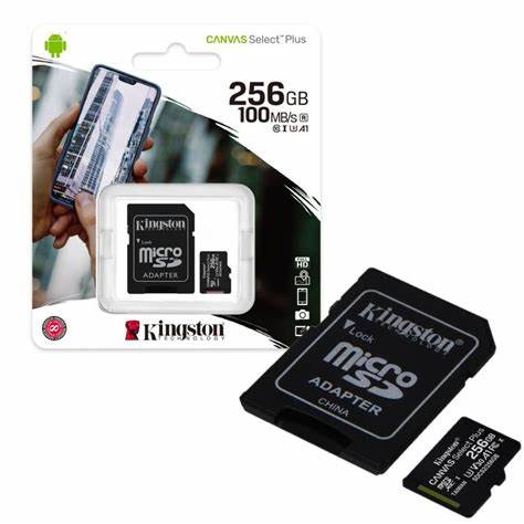 Carte Micro SD 256 Go KINGSTON