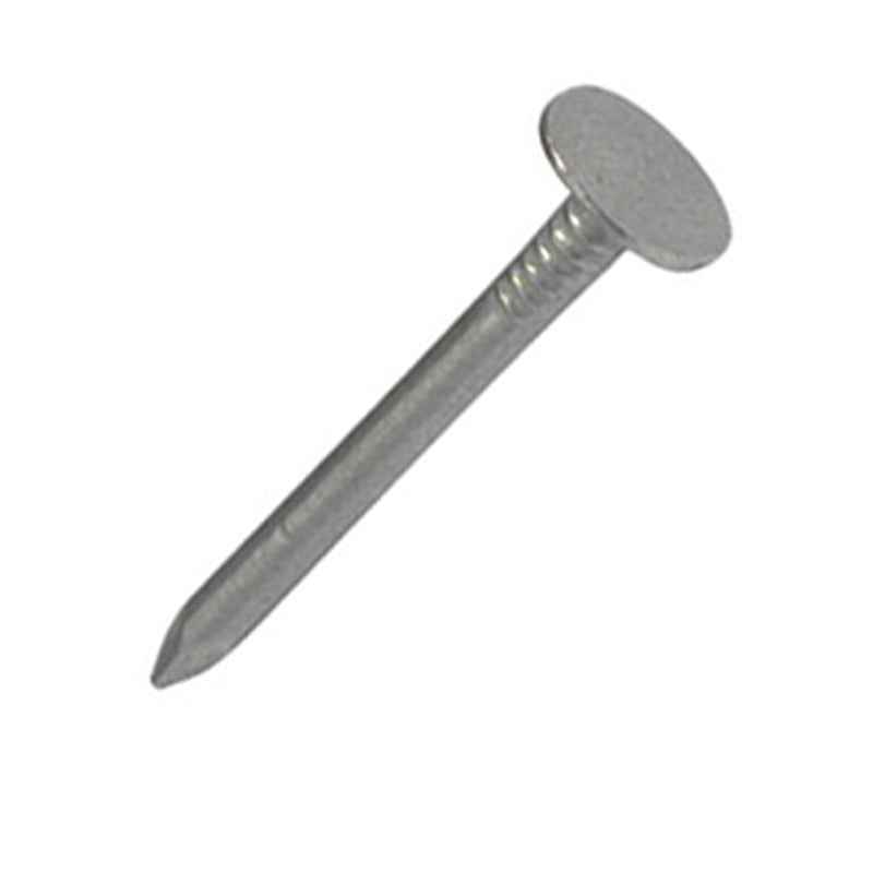 Clout Nails, Galvanised, Extra-Large Head 20mm (3/4")