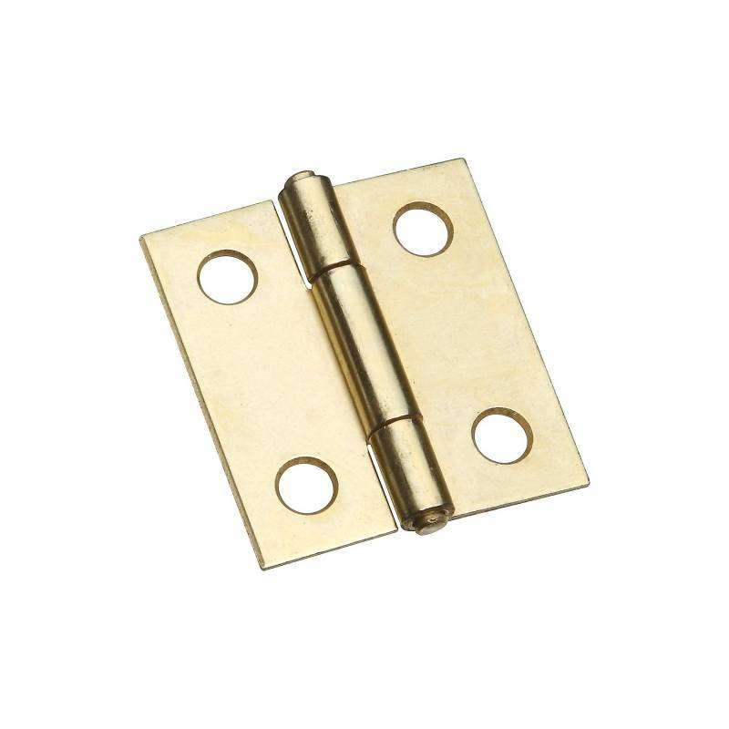 Mini Hinges, Brass 13mm (1/2") & Pins