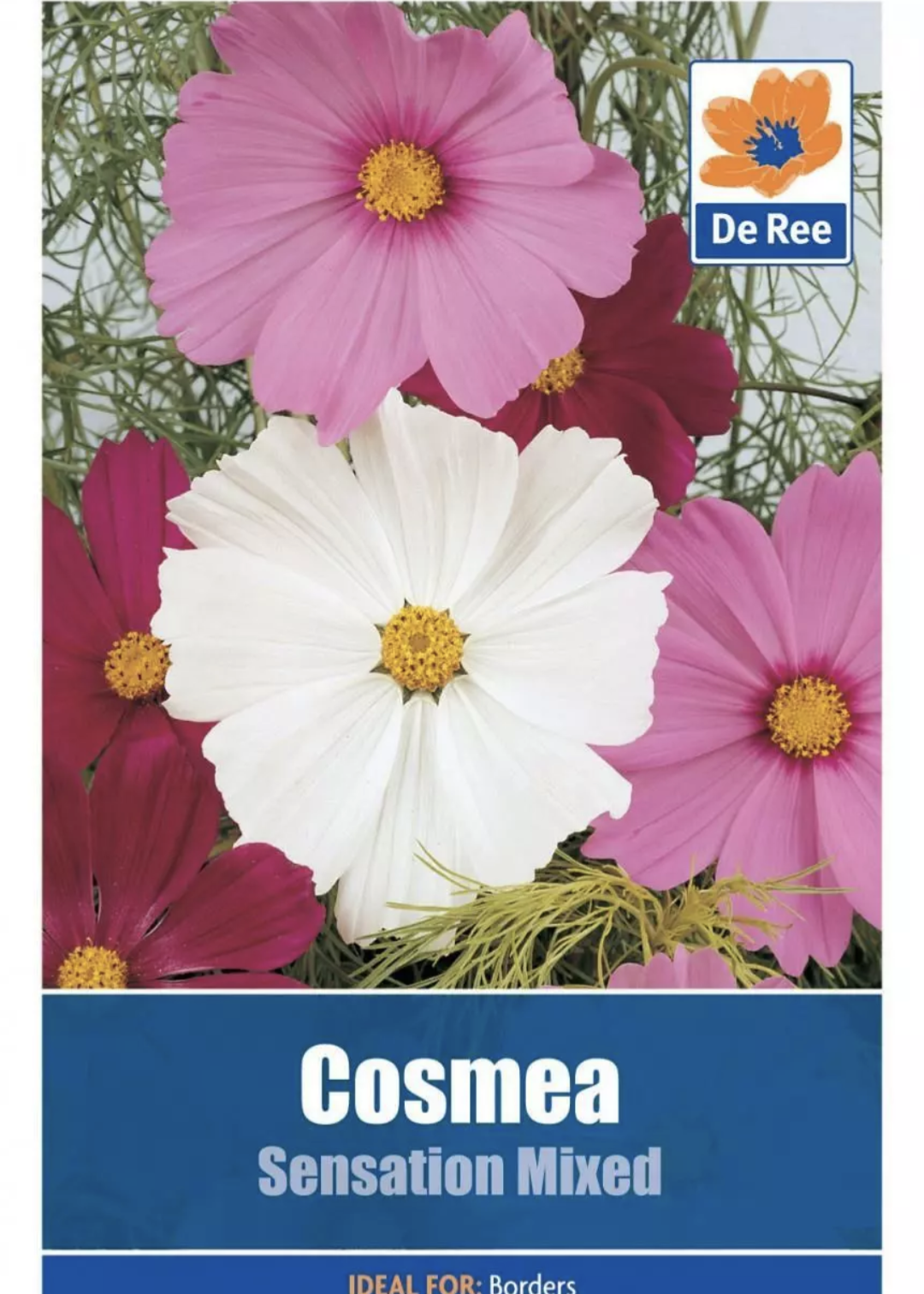 De Ree COSMEA Sensation Mélange de graines de fleurs