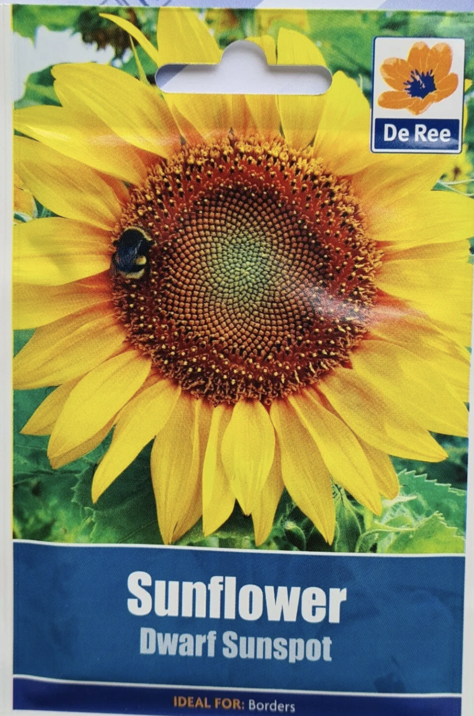 De Ree Sunflower Dwarf Sunspot Seeds