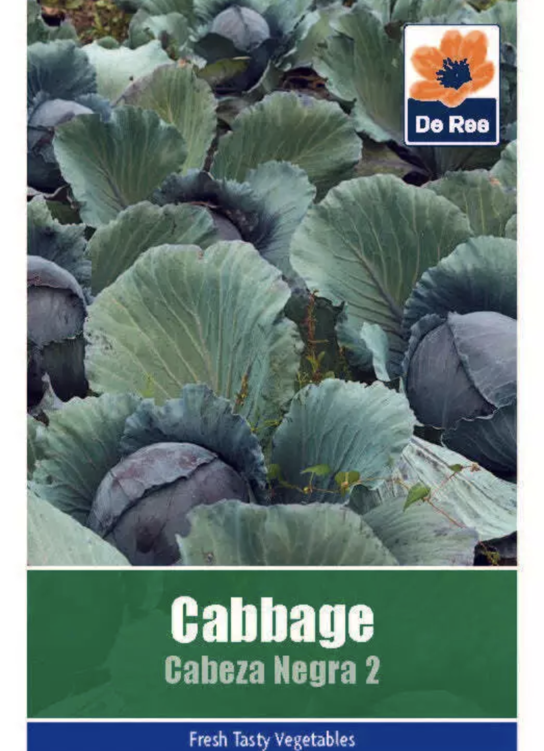 De Ree Cabbage Cabeza Negra 2