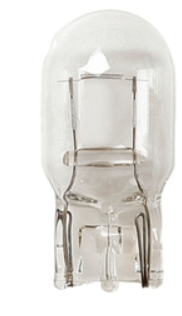 Auxiliary Capless Halogen Bulb W21W 12V 21W