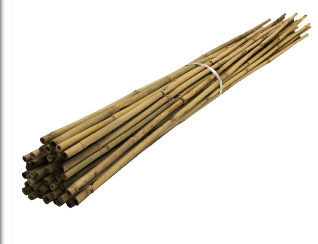Green Blade Garden and House Plant Natural Bamboo Support 600mm x10 PS210