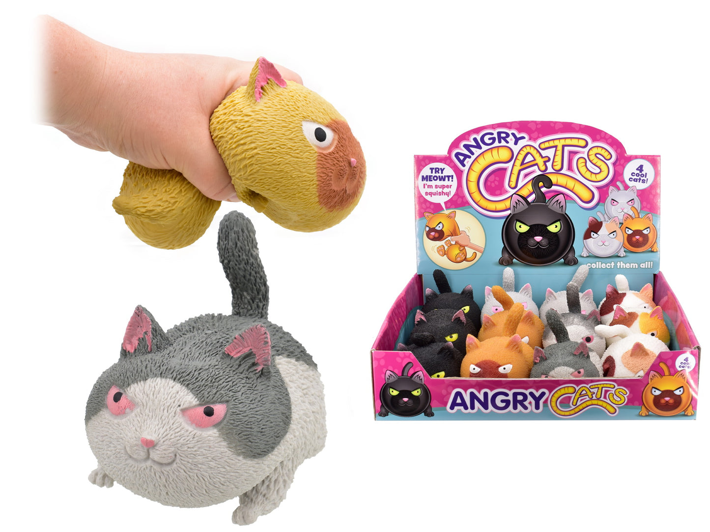 Chats Squeezey Adorables en Boîte Présentoir - 4 Assortis | Anti-Stress Parfaits