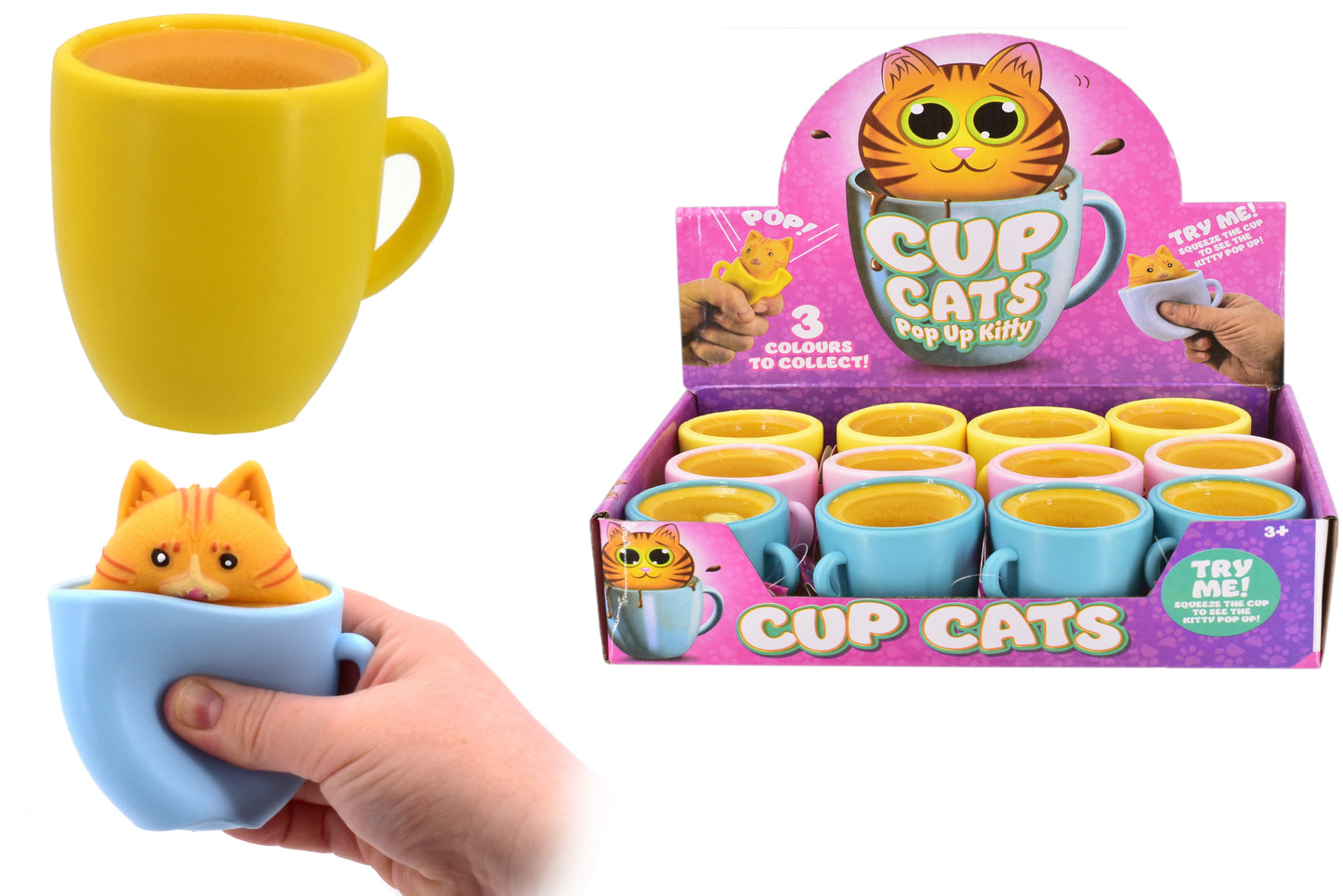Mignons chats en tasse dans une boîte de présentation : le cadeau parfait pour les amoureux des chats