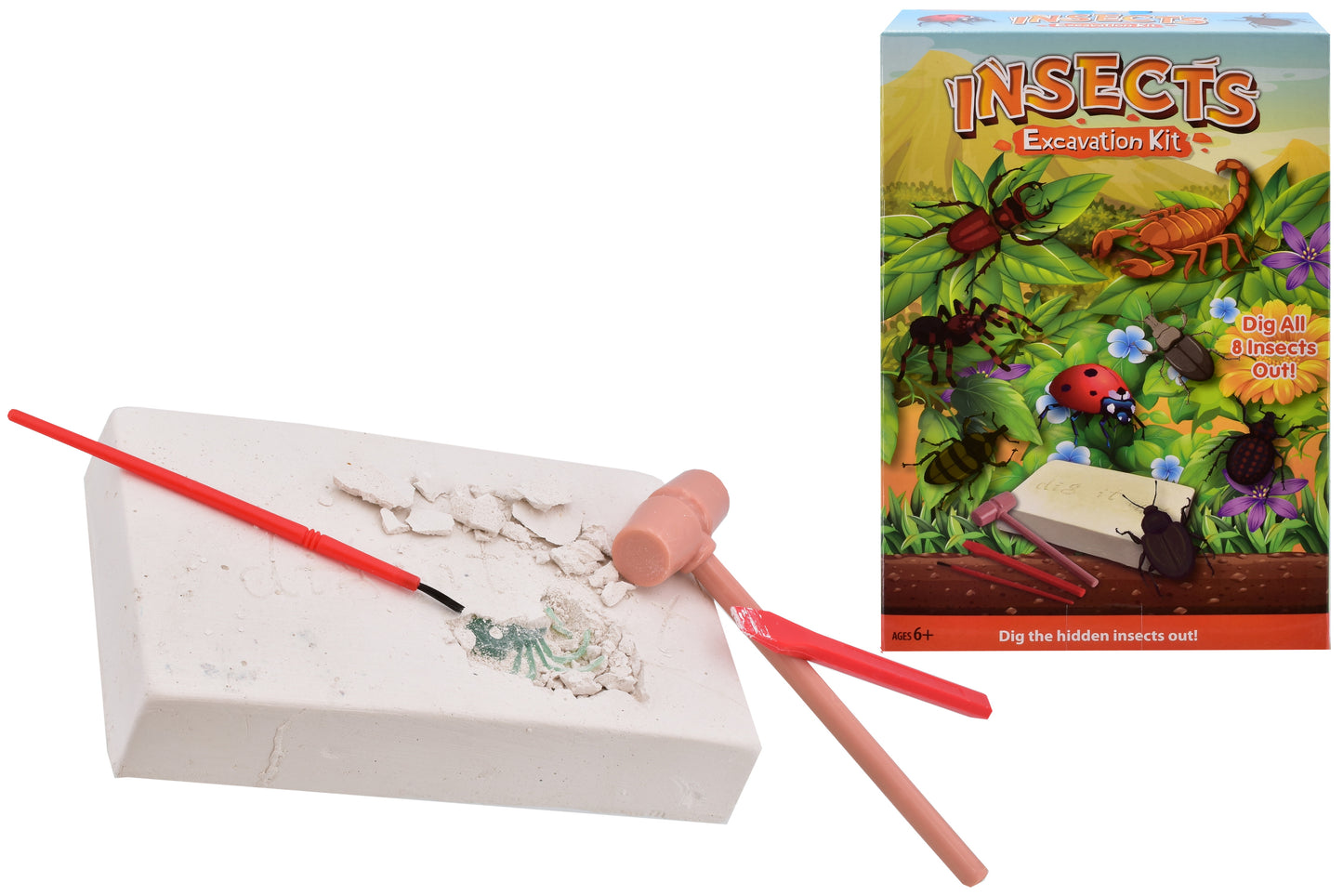Explore la nature avec notre kit de fouilles d'insectes Découvrez des créatures fascinantes