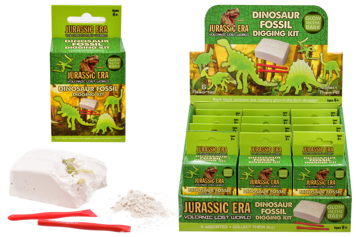 Découvrez les Merveilles Anciennes avec les Fossiles Jurassiques Phosphorescents Dig It Out