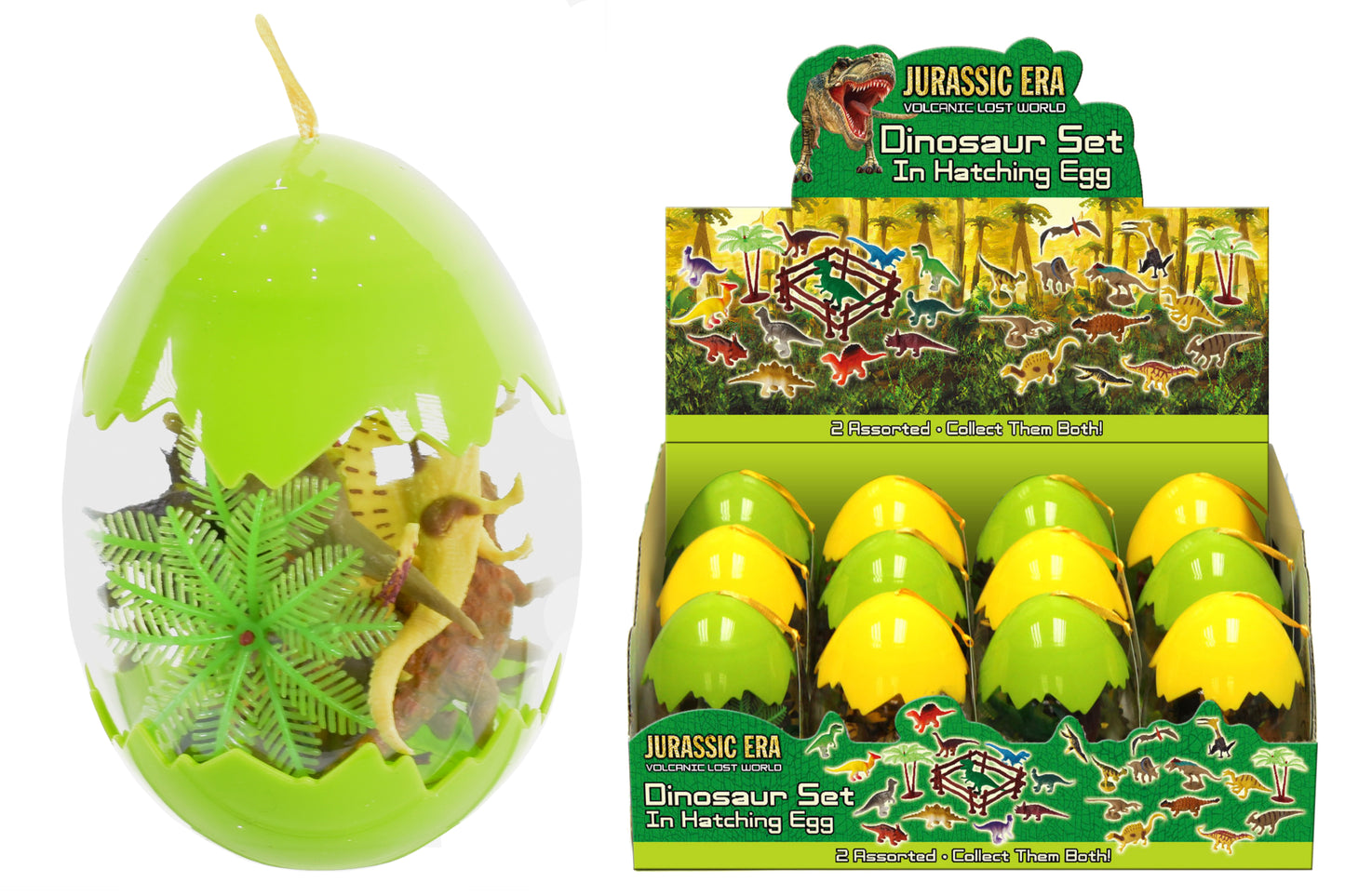 Ensemble de jeu Dinosaures : Explorez le frisson de la découverte avec la boîte de présentation d'œufs éclos.
