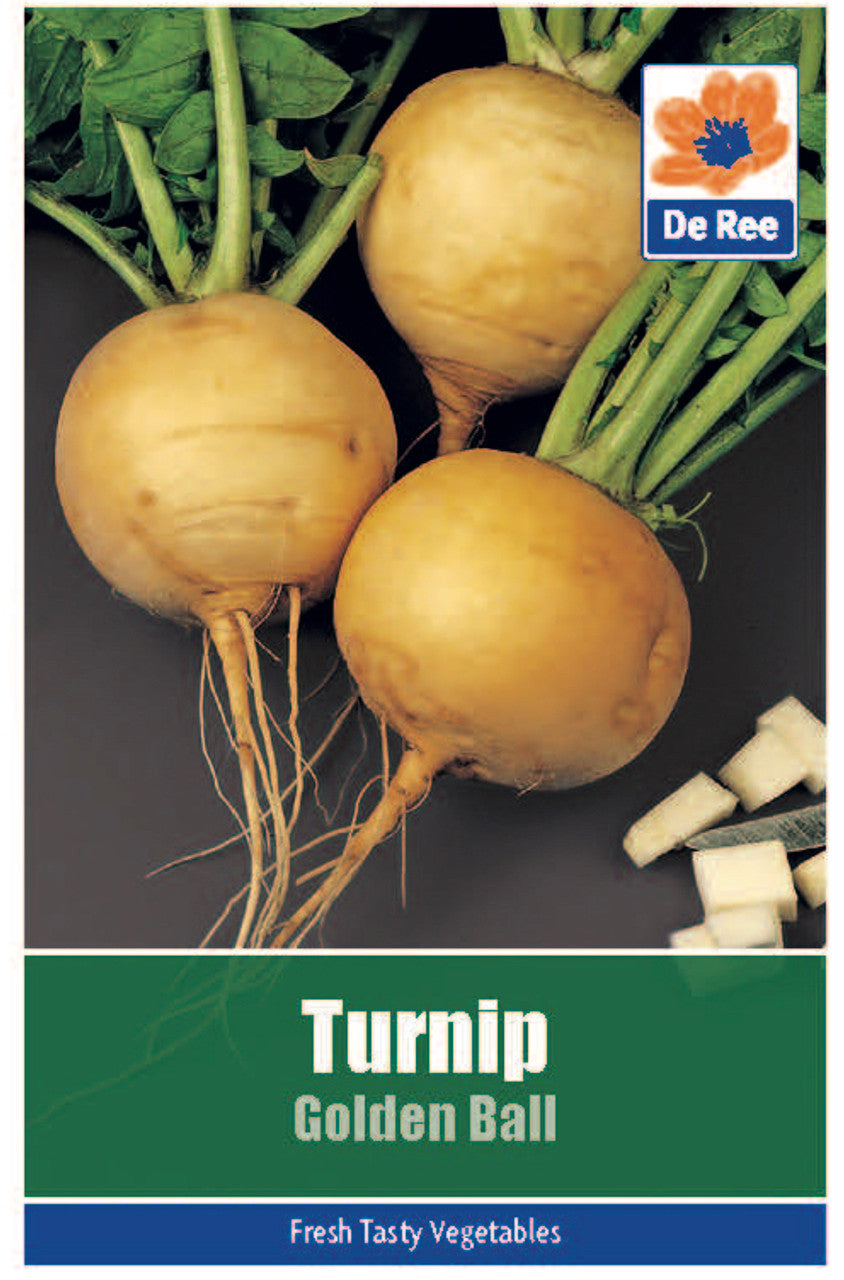 Turnip Golden Ball Vegetable Seeds