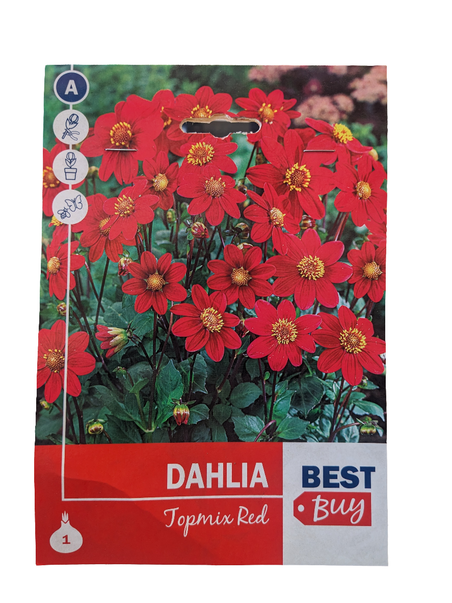 De Ree Dahlias Topmix Graines rouges