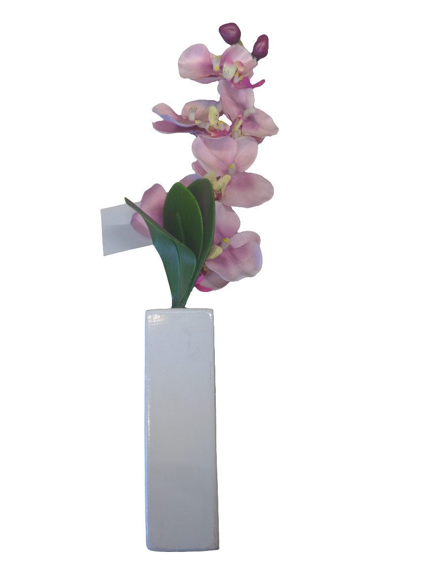 Orchidée dans un vase crème
