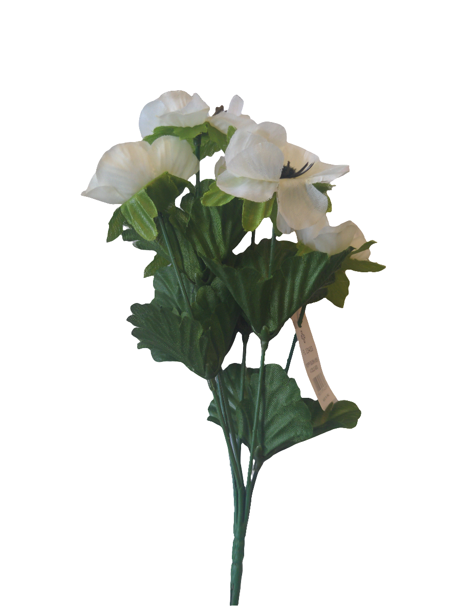 POPPY BUSH