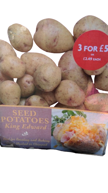 De Ree seed potatoes king edward