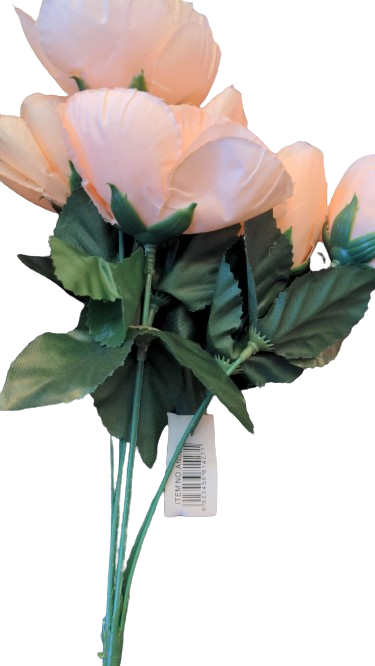 rosier colossas