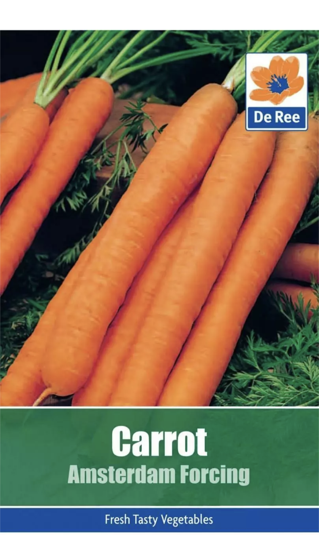 De Ree SACHET de CAROTTE Amsterdam Forcing 365 GRAINES potagères