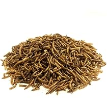 DRIED MEALWORMS 50g wild bird food
