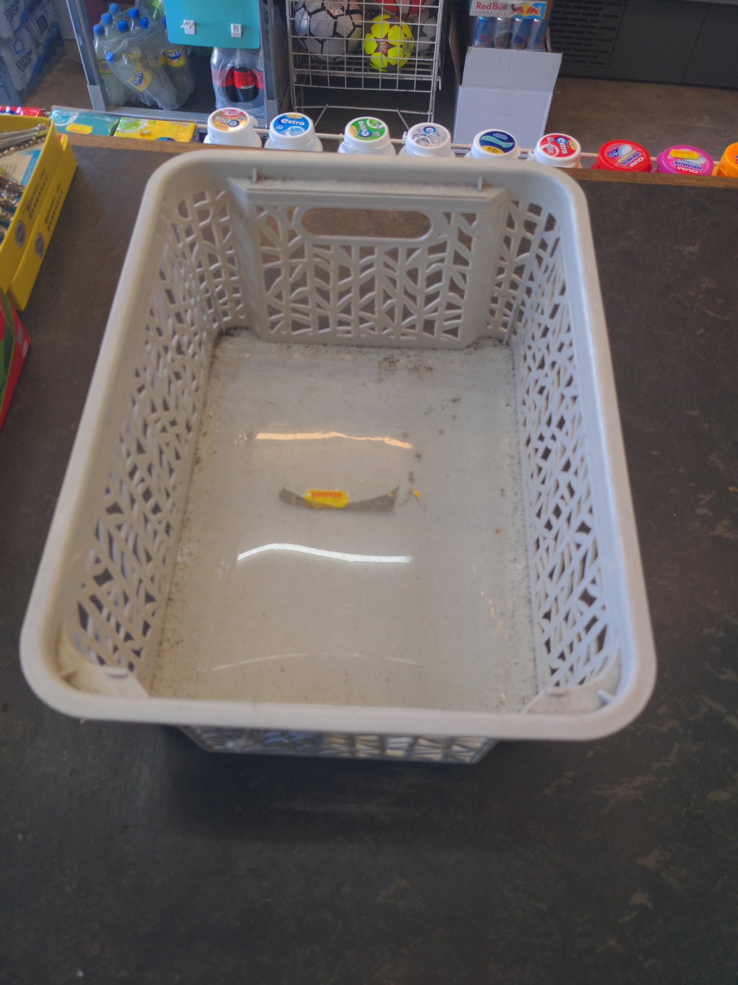 BranQ Basket