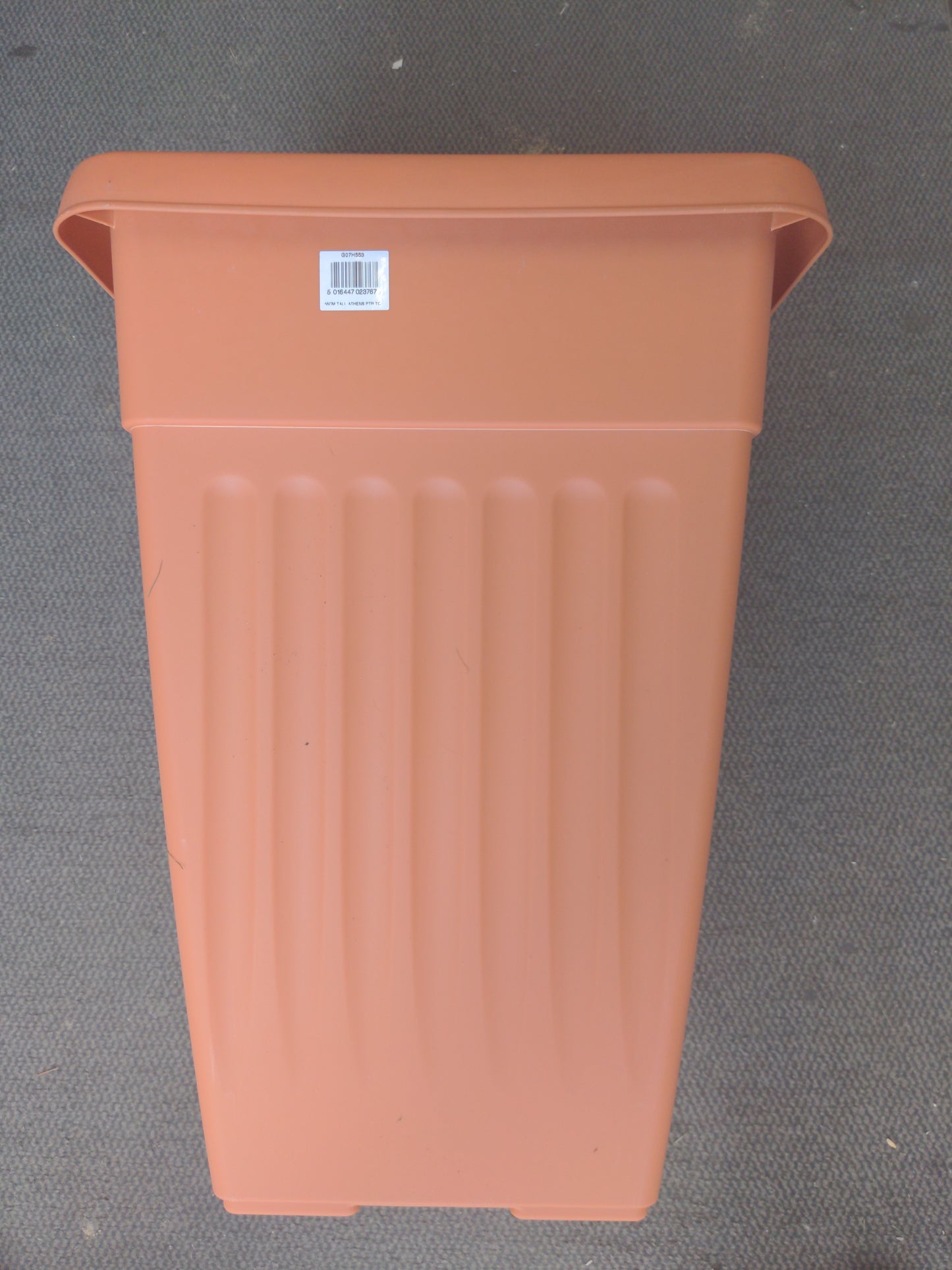 55cm Tall Athens TC