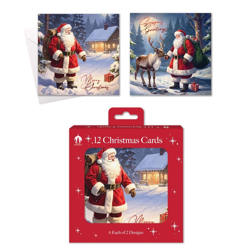 12 Christmas Cards, Boxed Santa, Reindeer, Night