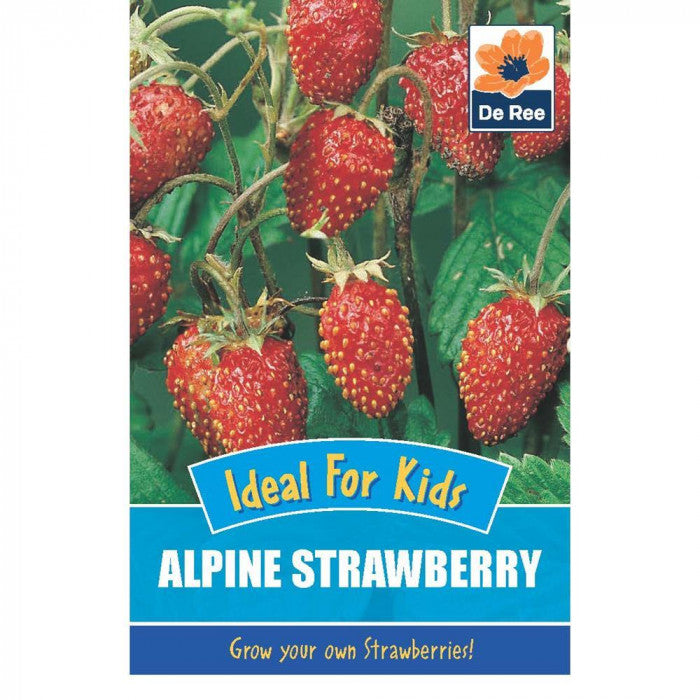 De Ree (Kids) Alpine Strawberry Seeds