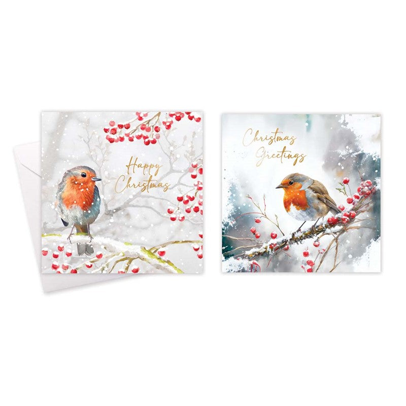 Boxed Christmas Cards Robin 10 Pack