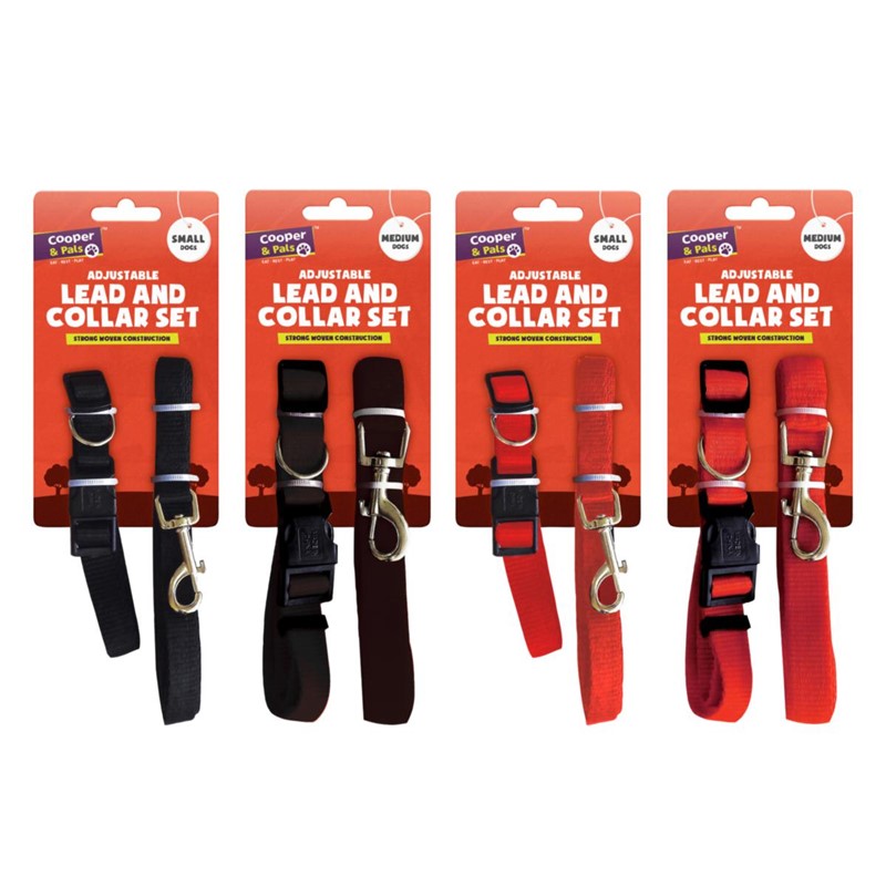 Lot de 2 laisses et colliers pour chiens de petite et moyenne taille