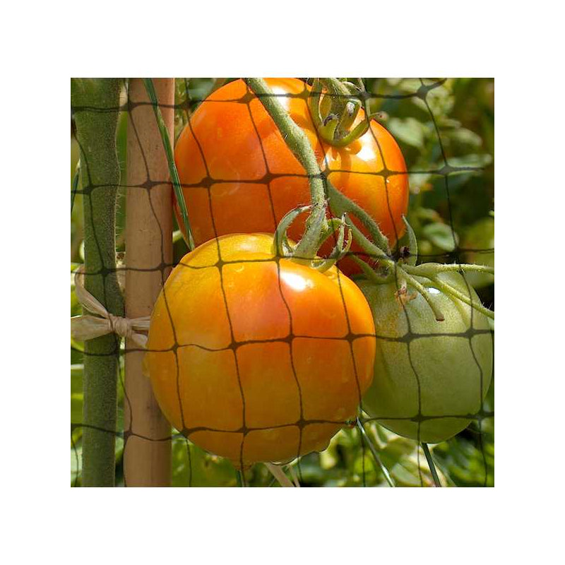 FILET DE JARDIN DE 3 M X 2 M