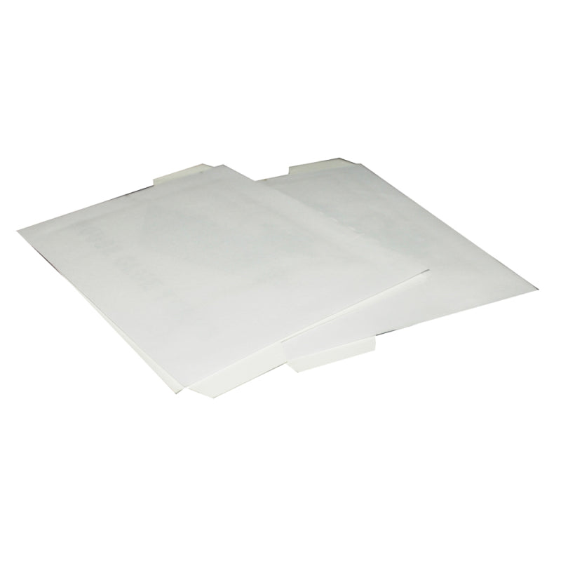 PIÈGES À SOURIS À COLLE (LOT DE 2)