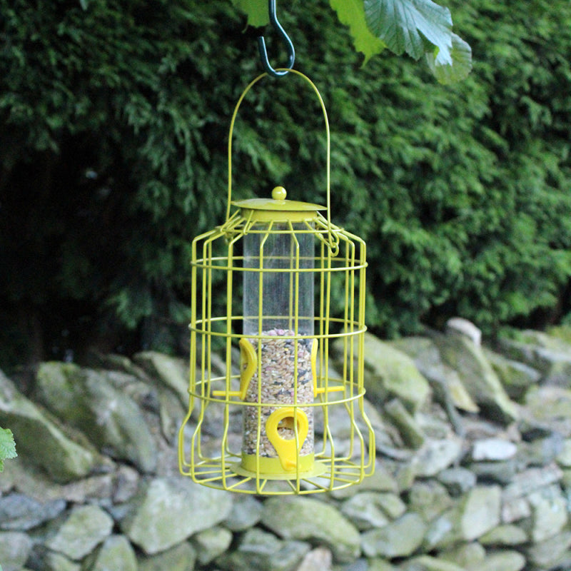 Mangeoire à oiseaux avec protection anti-écureuils