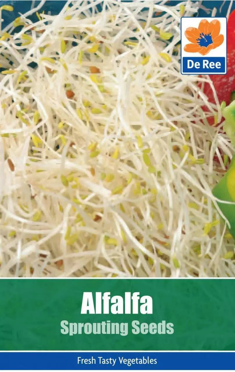 PACKET of ALFALFA Sprouting Seeds